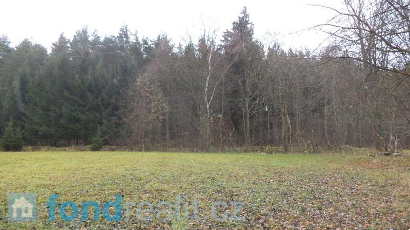 Prodej pole, Zdíkov - Branišov, 20225 m2