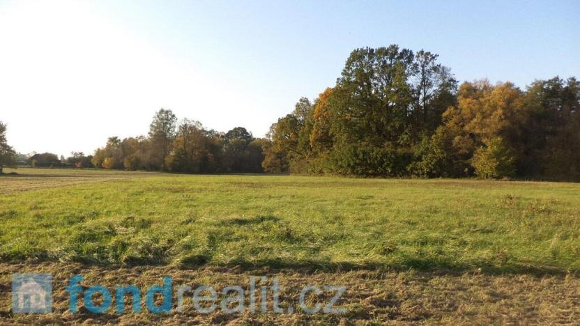 Prodej pozemku, Petrovice u Karviné, 6981 m2