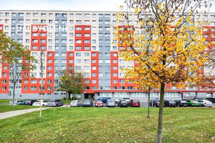 Prodej bytu 1+1, Most, Javorová, 33 m2