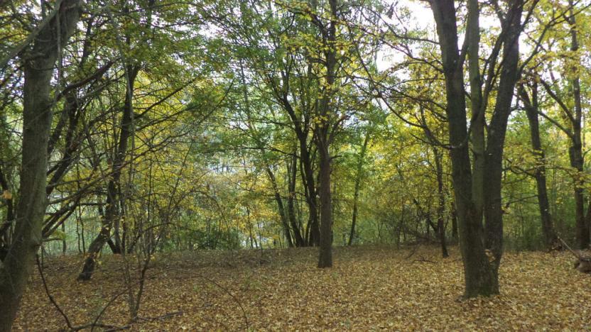Prodej pozemku, Ústí nad Labem - Mojžíř, 14780 m2
