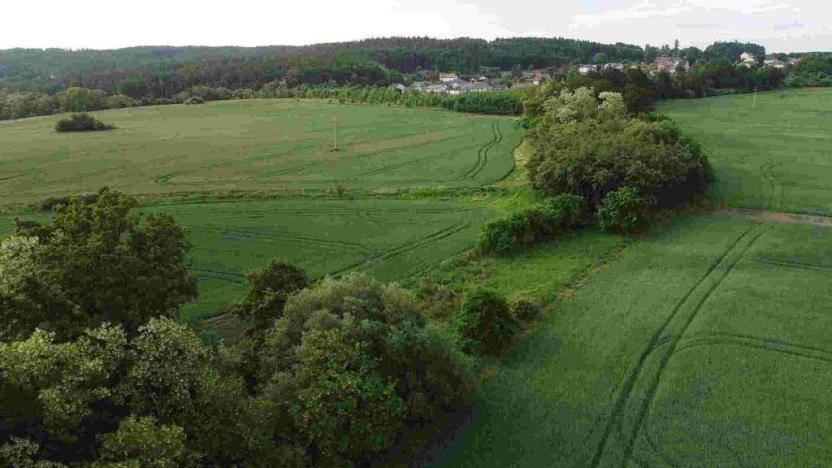 Prodej pole, Rakovník, 5266 m2