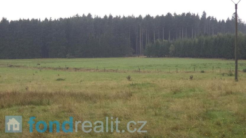 Prodej pozemku, Nová Bystřice, 10628 m2