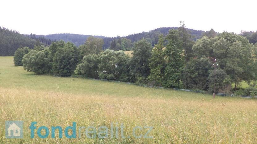 Prodej pole, Staré Buky, 10957 m2