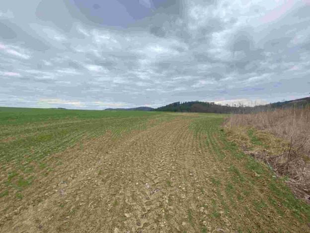 Prodej pole, Žinkovy, 15275 m2
