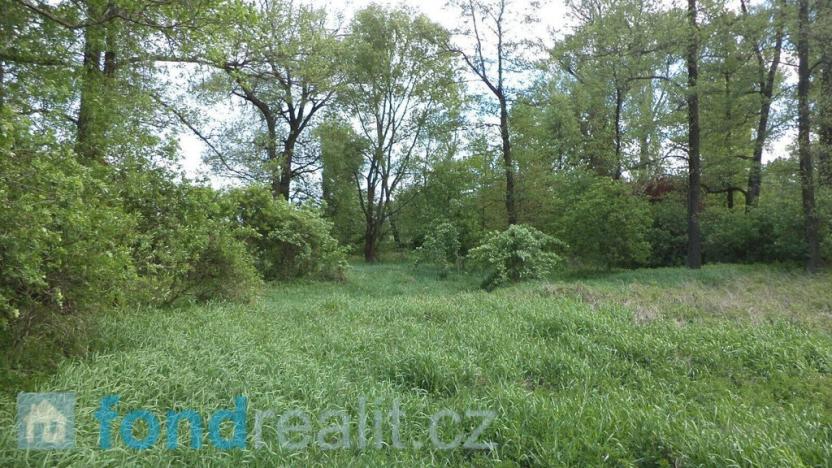 Prodej pozemku, Dětmarovice - Koukolná, 1844 m2