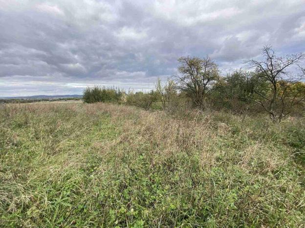 Prodej pozemku, Javorník - Horní Hoštice, 1651 m2