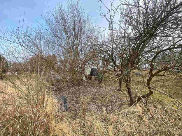 Prodej zahrady, Střížovice, 194 m2