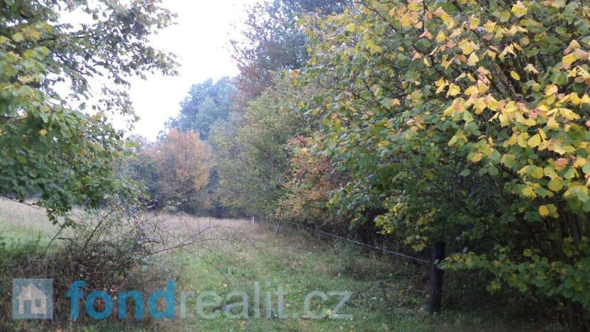 Prodej pole, Přimda, 35381 m2