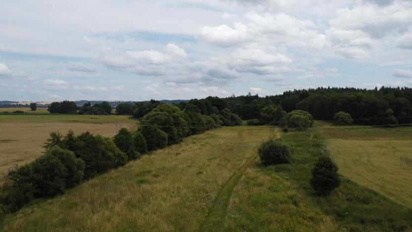 Prodej pole, Chodský Újezd - Nahý Újezdec, 25088 m2