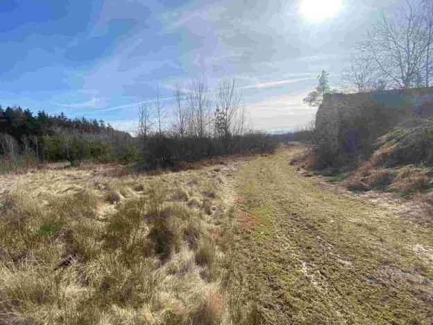 Prodej pole, Františkovy Lázně, 15408 m2