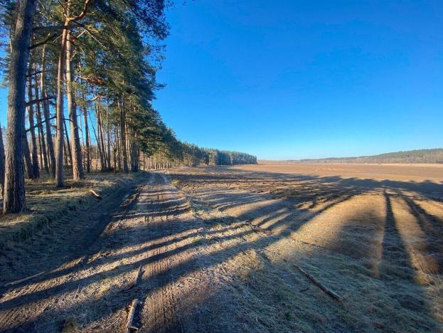 Prodej pole, Kočov - Klíčov, 3847 m2