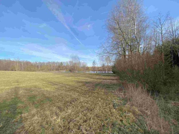 Prodej pole, Cheb - Pelhřimov, 753 m2