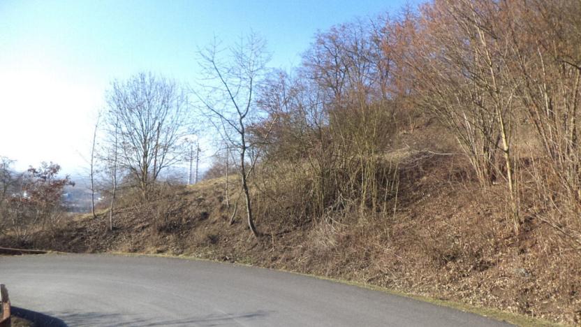 Prodej zahrady, Trmice, 3440 m2