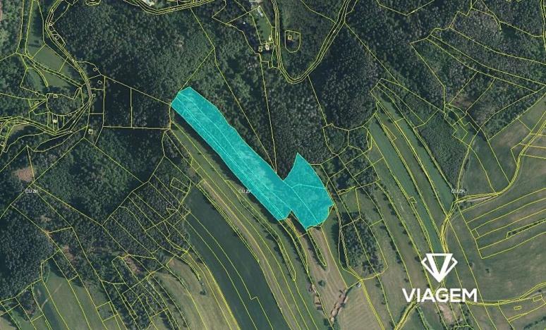 Prodej podílu lesa, Kuřimská Nová Ves, 10094 m2