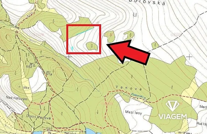 Prodej lesa, Věchnov, 415 m2