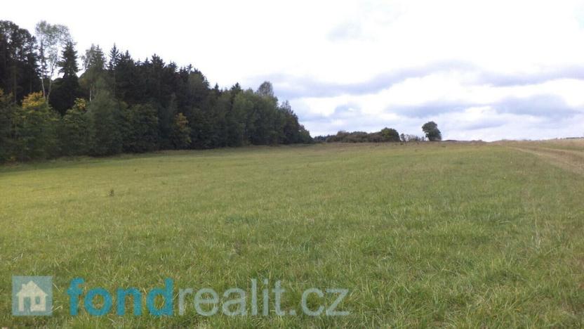 Prodej pole, Tachov, 55727 m2