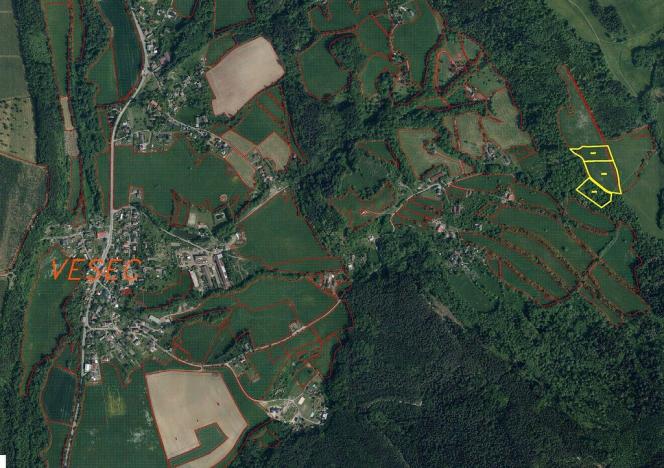 Prodej pole, Mírová pod Kozákovem, 22044 m2