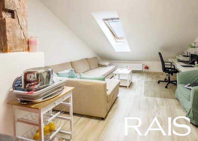 Prodej bytu 2+kk, Brno, Bašty, 54 m2