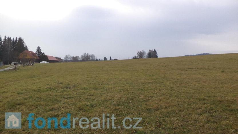 Prodej pole, Horní Planá, 45926 m2