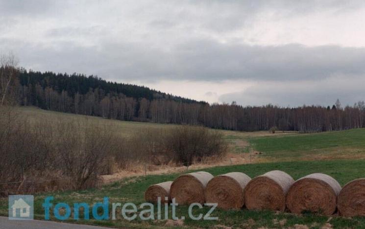 Prodej pole, Horní Planá, 45926 m2