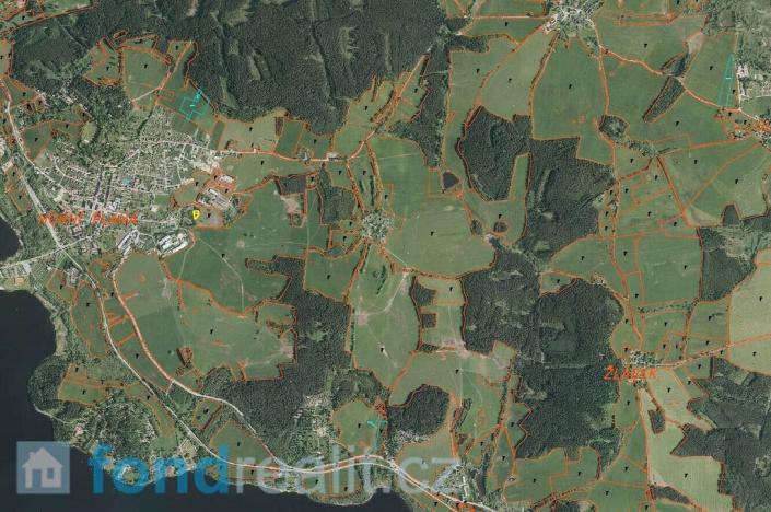 Prodej pole, Horní Planá, 45926 m2