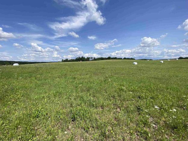 Prodej pole, Lhenice - Hrbov, 55481 m2