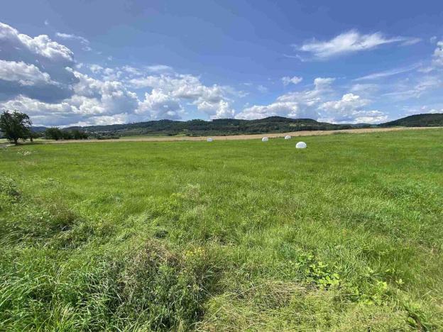 Prodej pole, Lhenice - Hrbov, 55481 m2