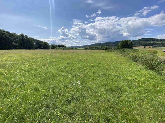 Prodej pole, Lhenice - Hrbov, 55481 m2