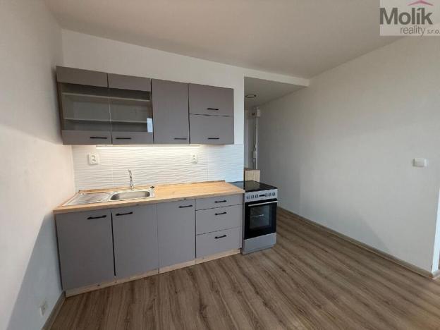 Prodej bytu 1+1, Jirkov, Pionýrů, 35 m2