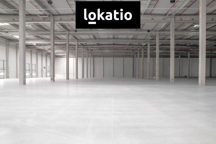 Pronájem skladu, Odrava - Obilná, 20821 m2