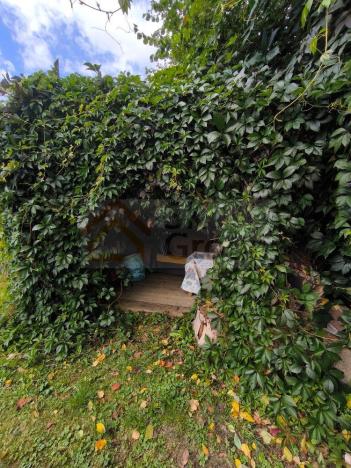 Prodej zahrady, Žlutice, Smetanova, 569 m2