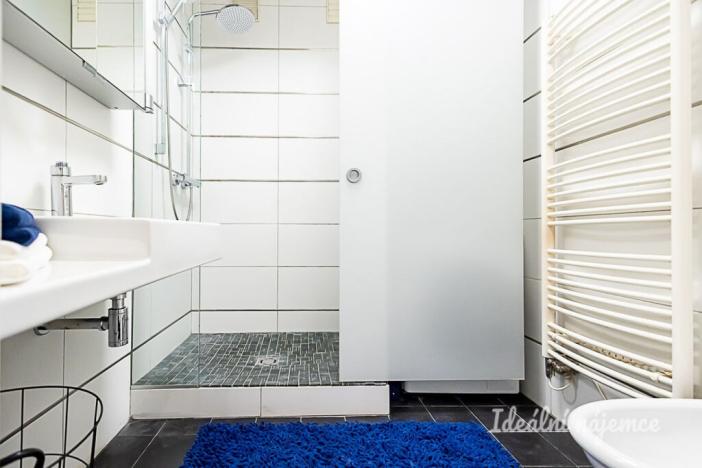 Pronájem bytu 3+kk, Praha - Staré Město, Valentinská, 114 m2