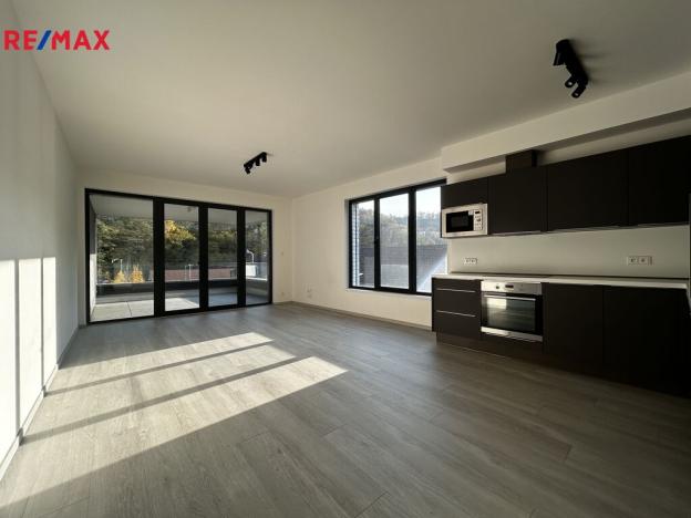 Pronájem bytu 2+kk, Praha - Karlín, U Sluncové, 56 m2