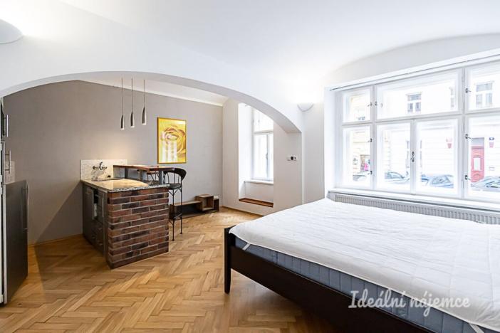 Pronájem bytu 1+kk, Praha - Žižkov, Rokycanova, 41 m2
