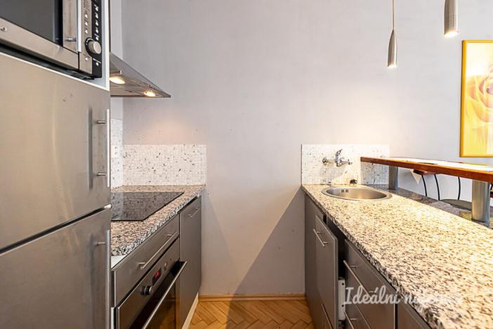 Pronájem bytu 1+kk, Praha - Žižkov, Rokycanova, 41 m2