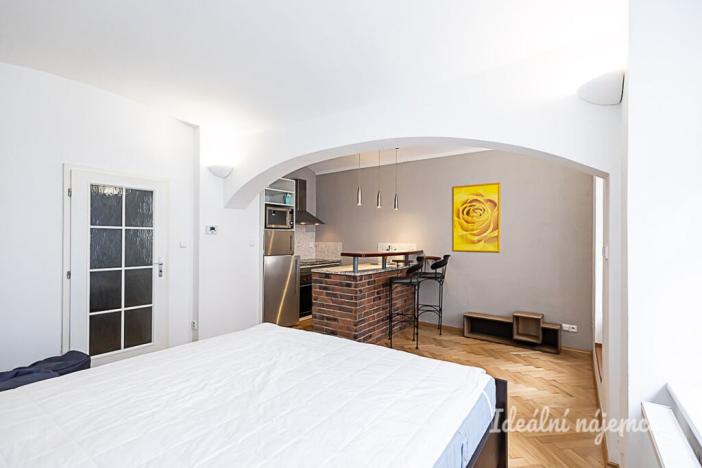 Pronájem bytu 1+kk, Praha - Žižkov, Rokycanova, 41 m2