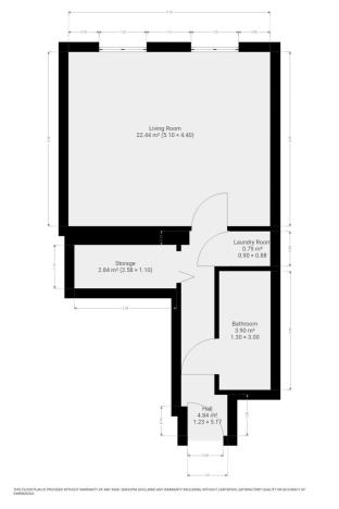 Pronájem bytu 1+kk, Praha - Žižkov, Rokycanova, 41 m2