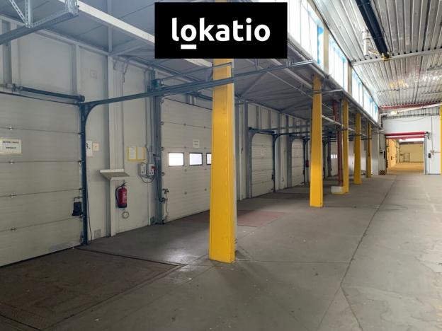 Pronájem skladu, Kutná Hora, Hrnčířská, 4894 m2