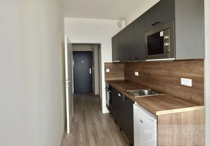 Pronájem bytu 1+kk, Plzeň, Goldscheiderova, 34 m2