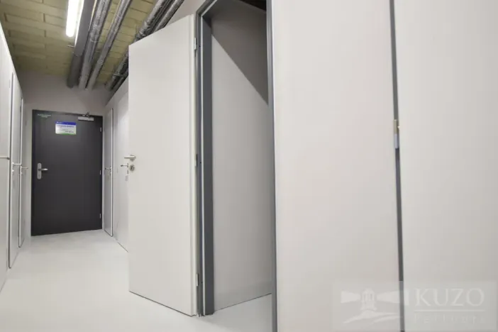 Pronájem bytu 1+kk, Plzeň, Goldscheiderova, 34 m2