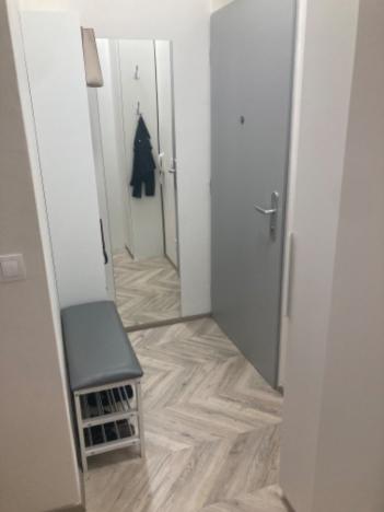 Pronájem bytu 1+kk, Brno - Zábrdovice, Vlhká, 27 m2