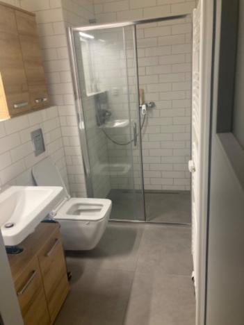 Pronájem bytu 1+kk, Brno - Zábrdovice, Vlhká, 27 m2