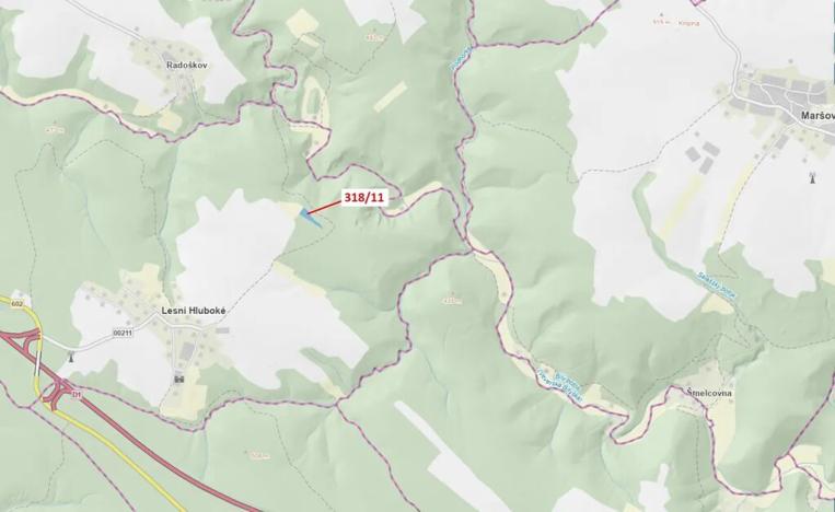Dražba lesa, Lesní Hluboké, 3838 m2