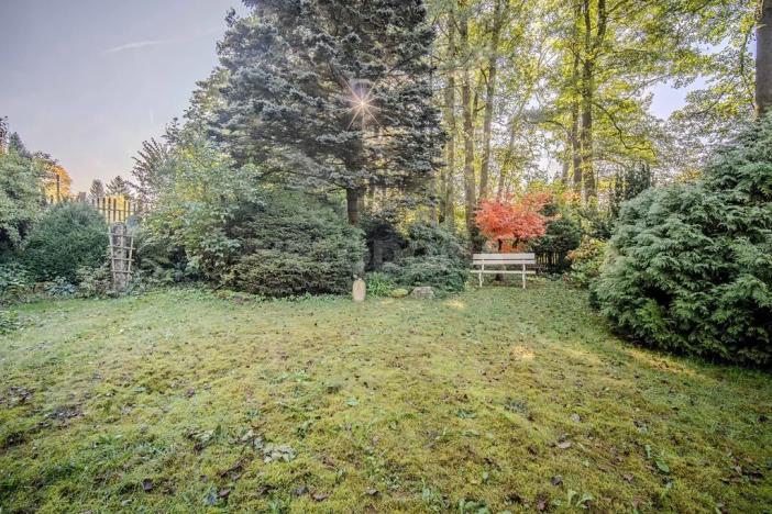 Prodej rodinného domu, Nové Mitrovice, 101 m2