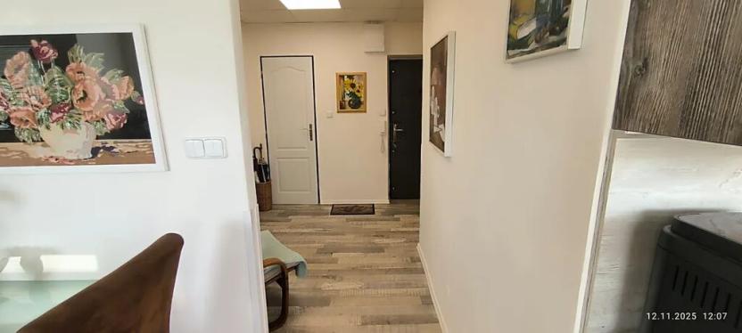 Prodej bytu 2+1, Ostrava, Mánesova, 65 m2