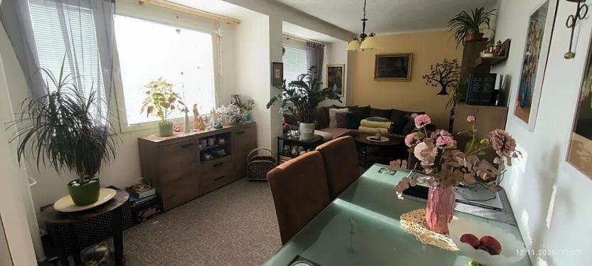 Prodej bytu 2+1, Ostrava, Mánesova, 65 m2