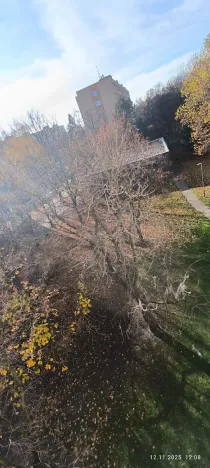 Prodej bytu 2+1, Ostrava, Mánesova, 65 m2