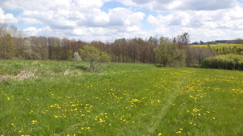 Prodej pozemku, Vítkov, 5357 m2