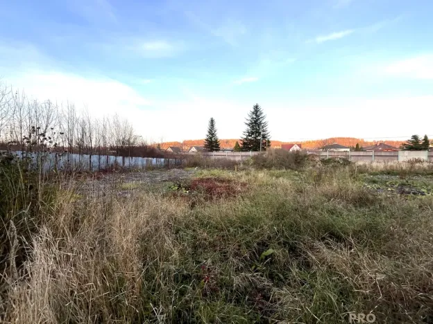 Pronájem komerčního pozemku, Třinec - Lyžbice, 6544 m2