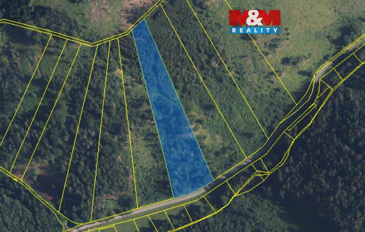 Prodej lesa, Nemile, 12967 m2